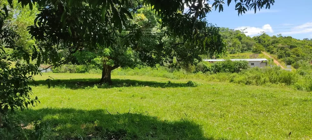 Terreno - Foto 13