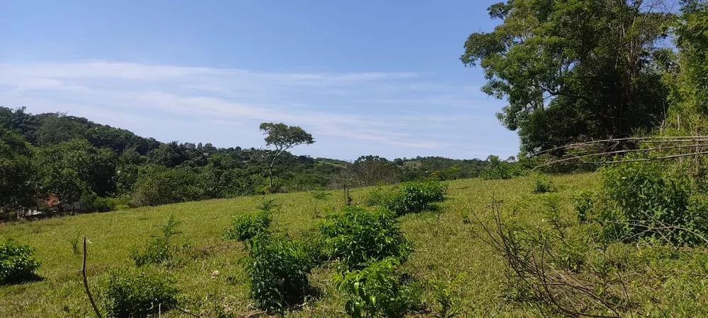 Terreno - Foto 1