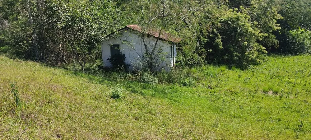 Terreno - Foto 8