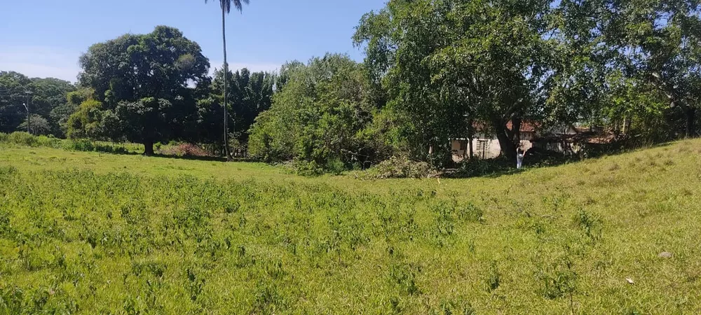 Terreno - Foto 10