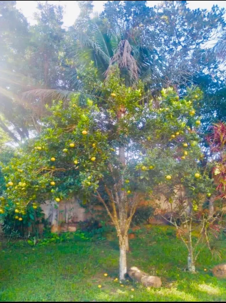 Sítio, 8 quartos - Foto 70