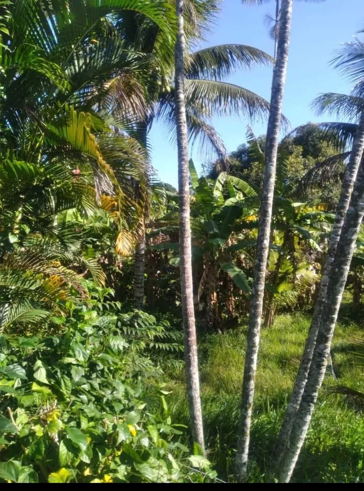 Sítio, 8 quartos - Foto 66