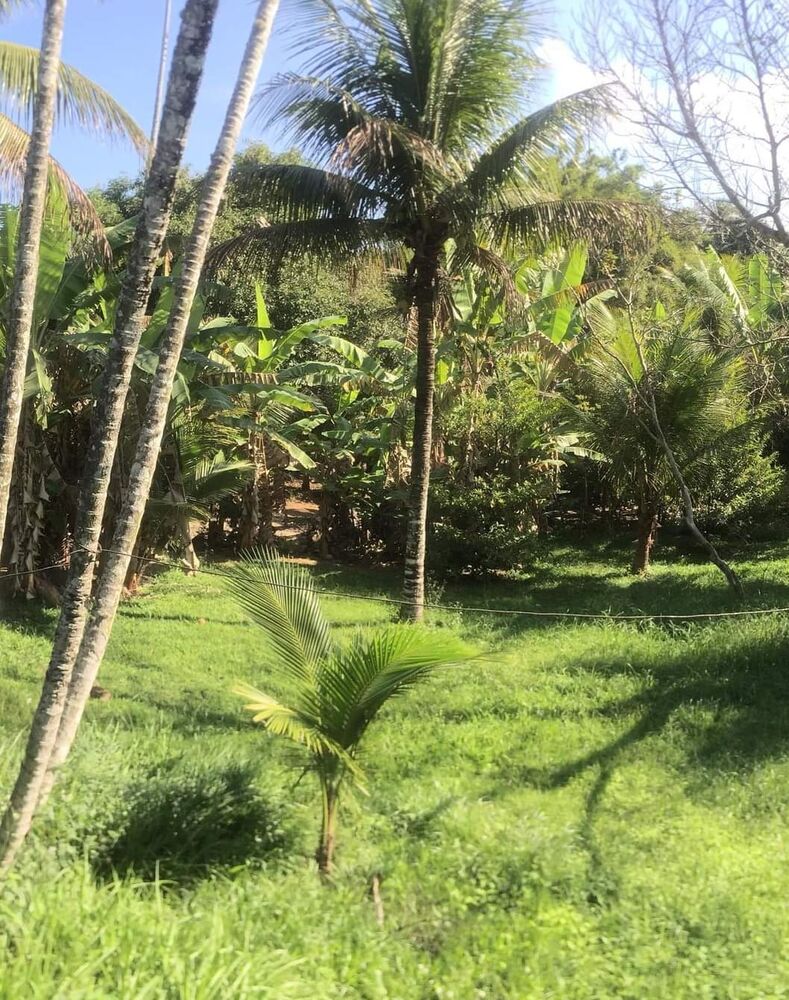 Sítio à venda com 8 quartos - Foto 7