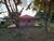 Chácara, 1 quarto - Foto 3
