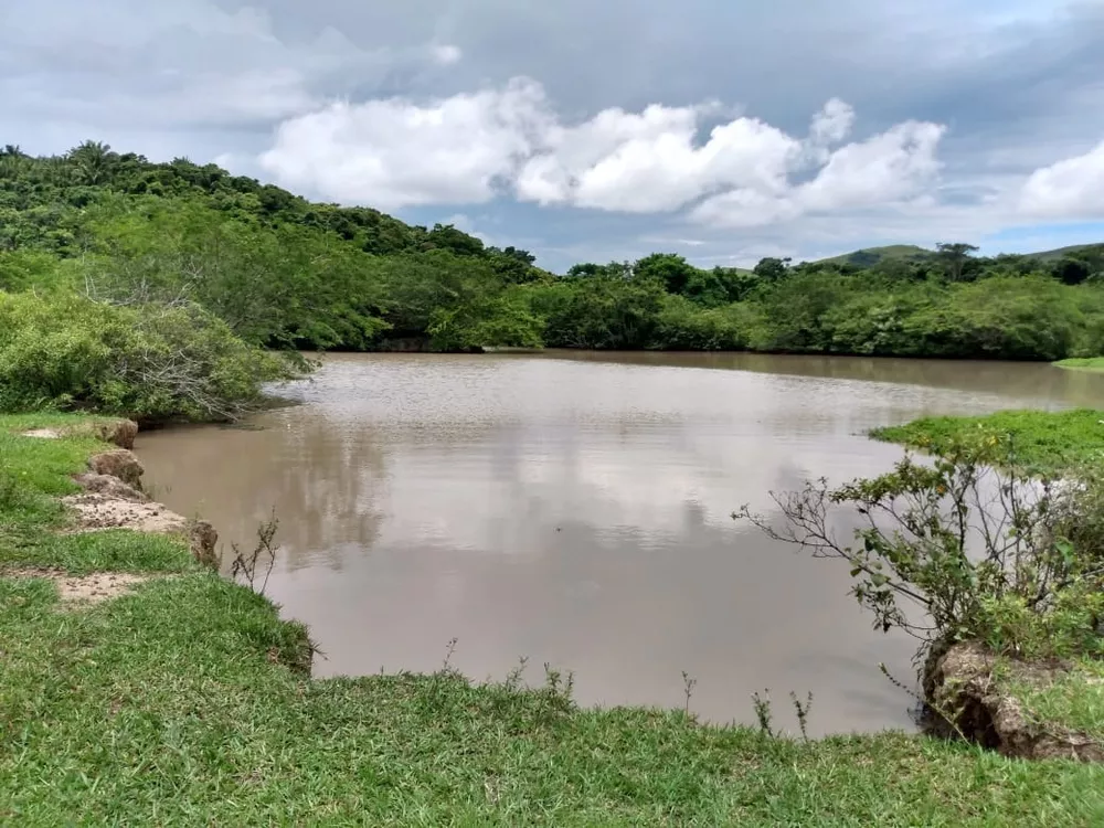 Fazenda - Foto 11