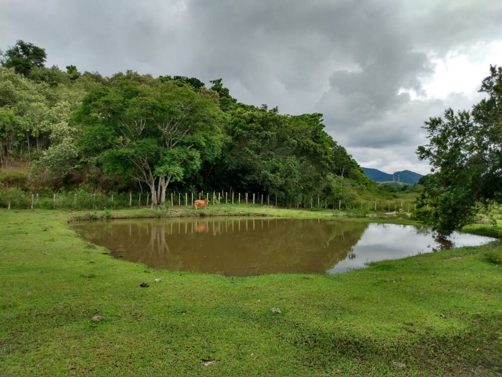 Fazenda - Foto 1