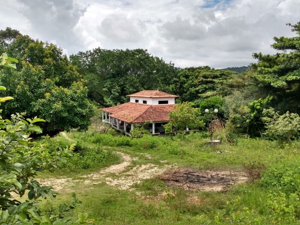 Fazenda - Foto 2