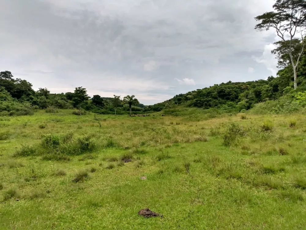 Fazenda - Foto 12