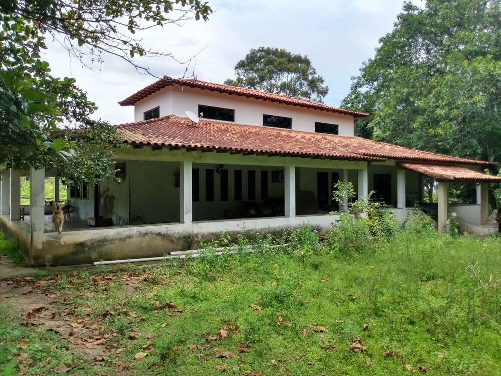 Fazenda - Foto 3