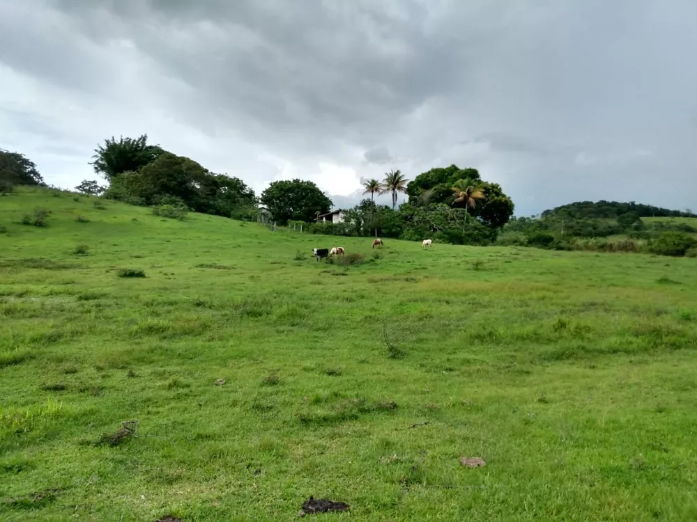 Fazenda - Foto 16
