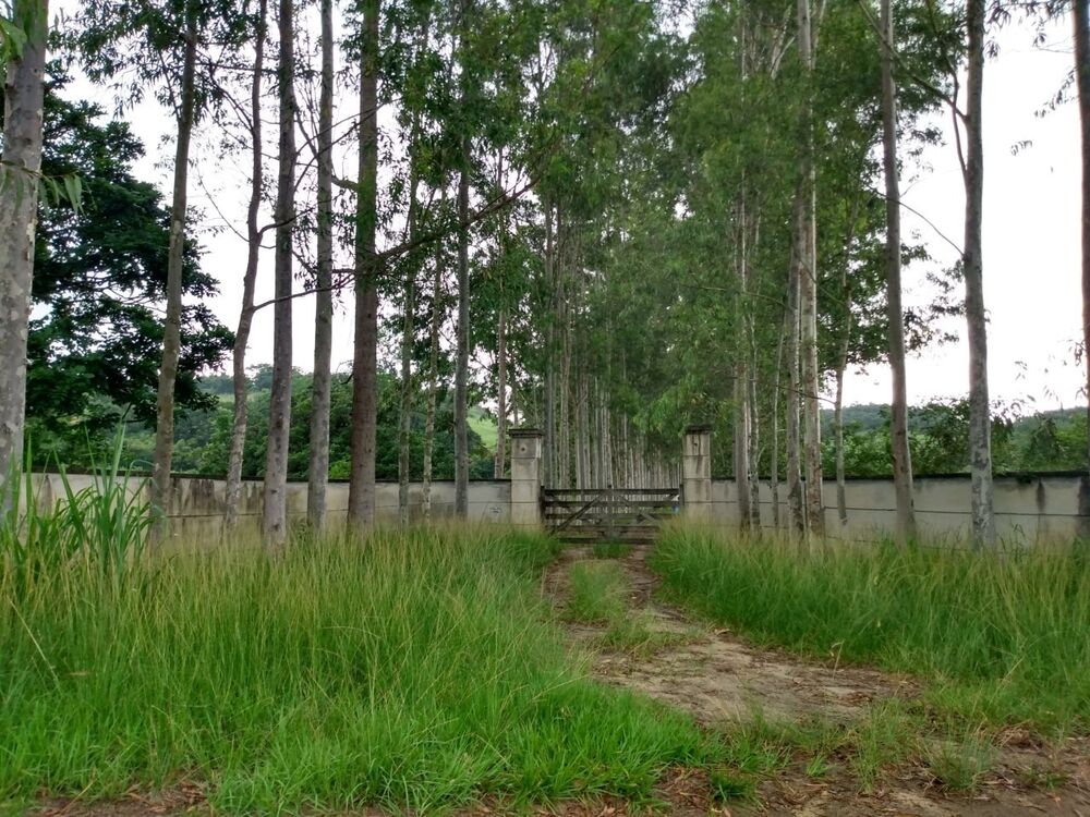Fazenda - Foto 13