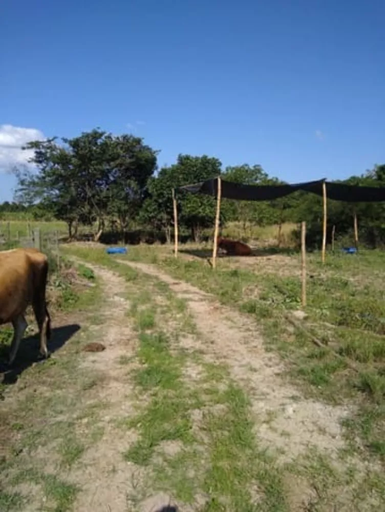 Fazenda, 5 quartos - Foto 6