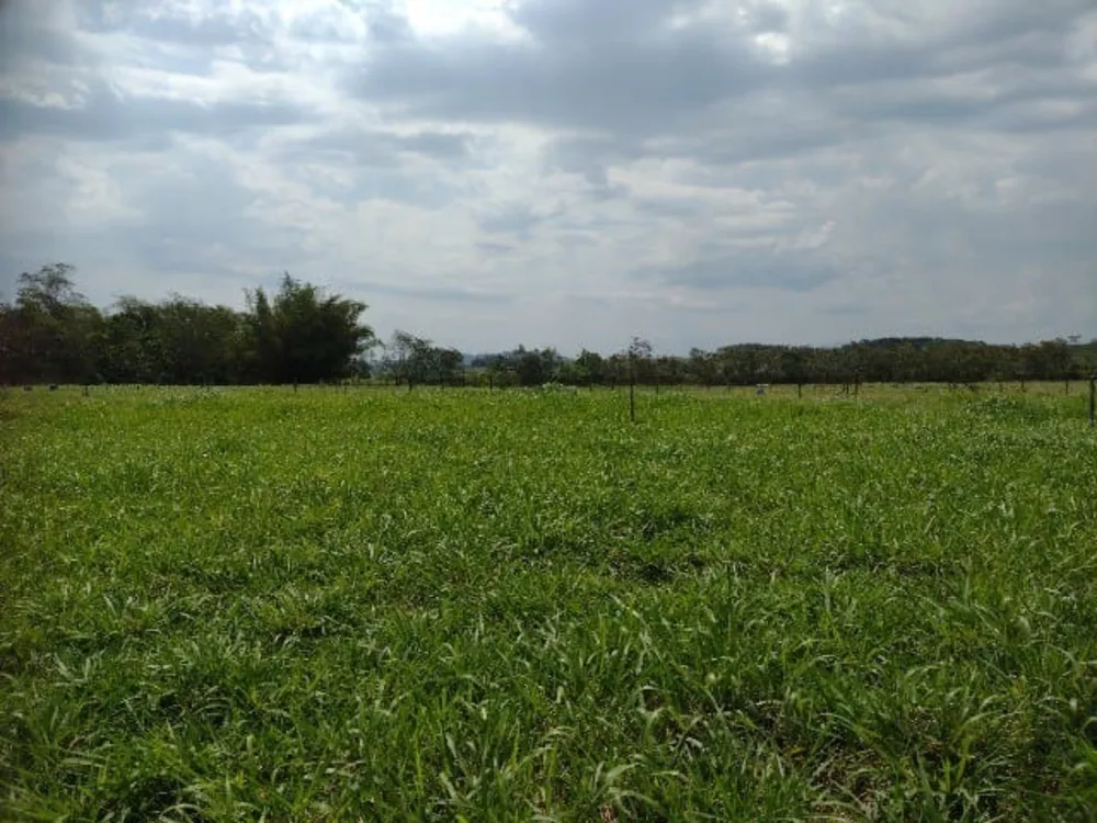 Fazenda, 5 quartos - Foto 16