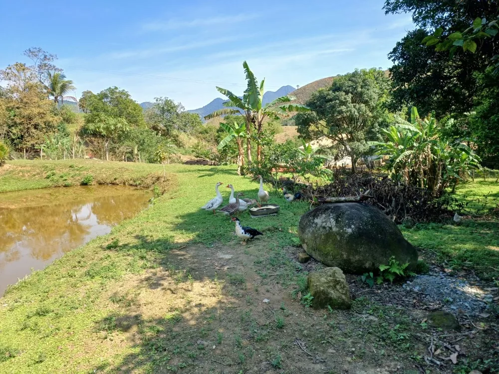 Sítio, 3 quartos - Foto 17