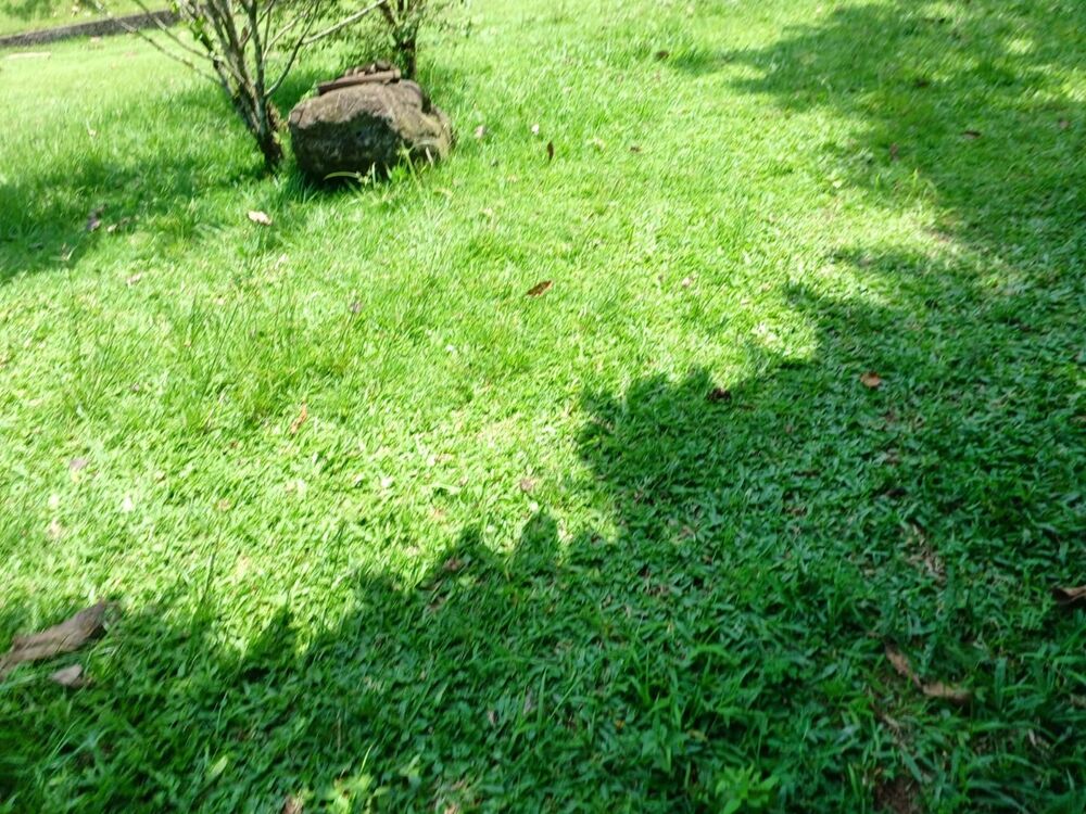 Sítio à venda com 3 quartos - Foto 3