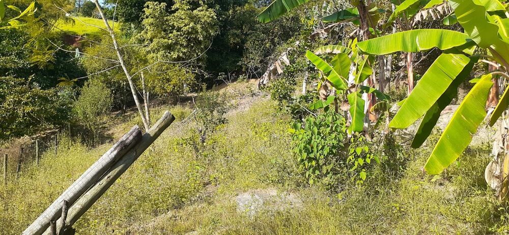 Sítio à venda com 3 quartos - Foto 7