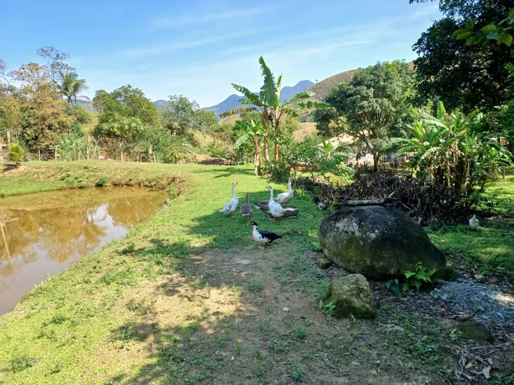 Sítio, 3 quartos - Foto 21