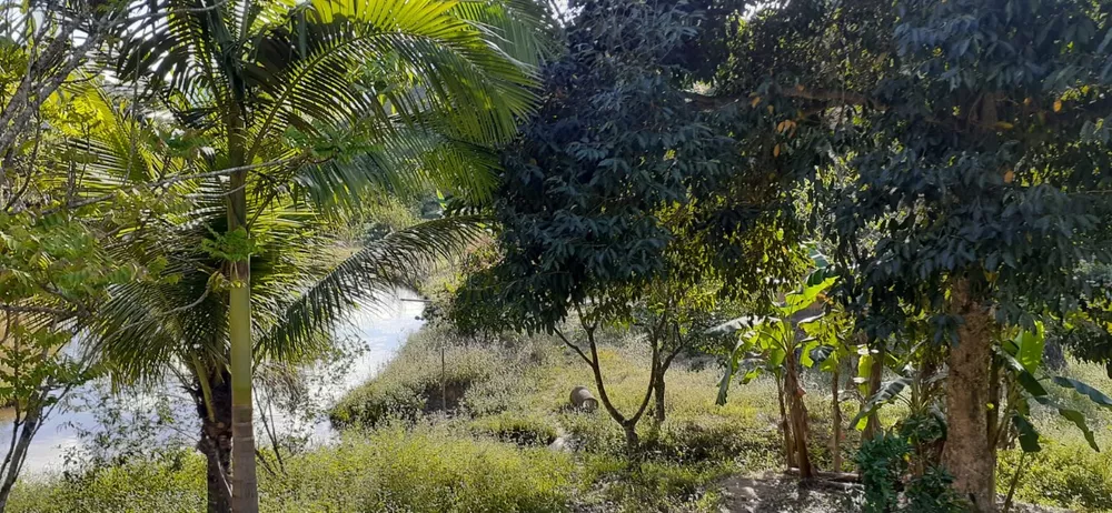 Sítio, 3 quartos - Foto 30