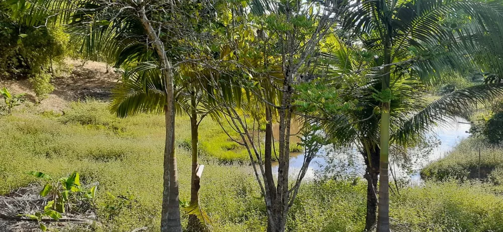 Sítio, 3 quartos - Foto 29