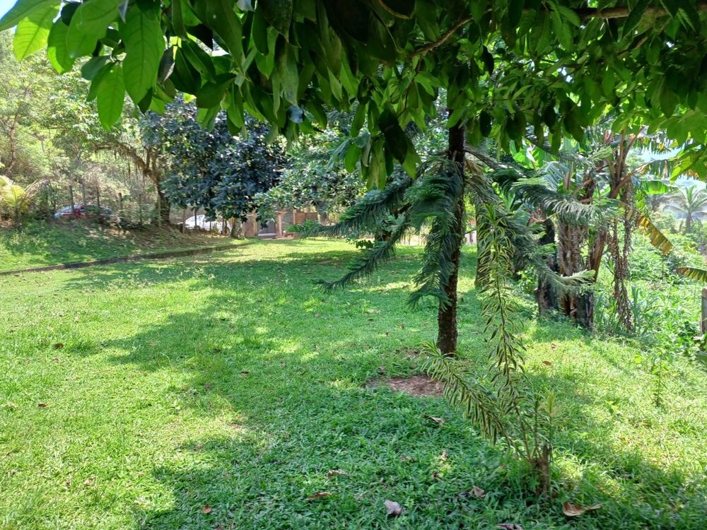 Sítio à venda com 3 quartos - Foto 2