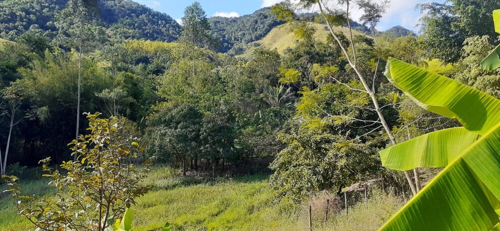 Sítio à venda com 3 quartos - Foto 5