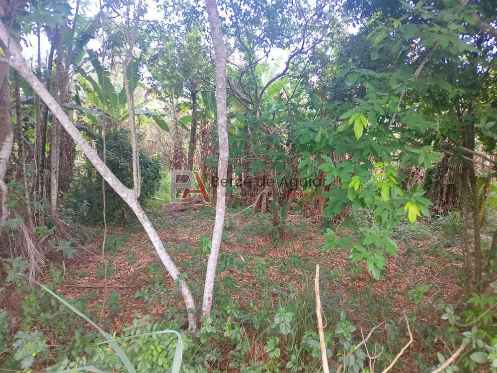 Terreno, 2000 m² - Foto 3