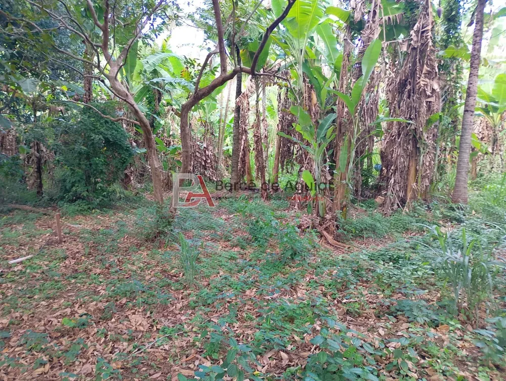 Terreno, 2000 m² - Foto 4