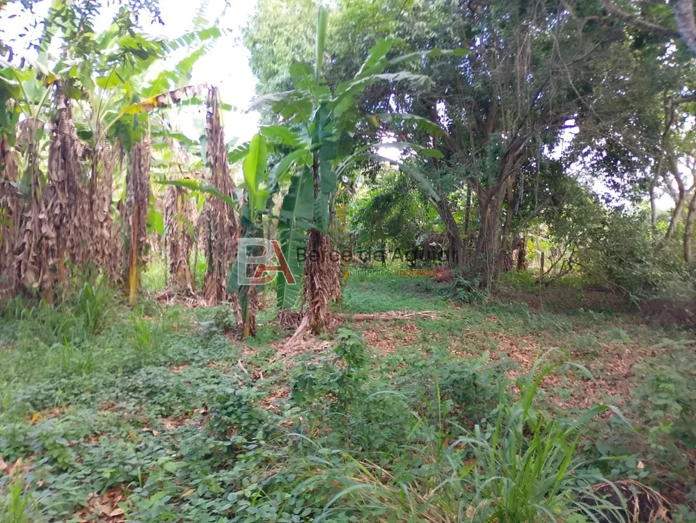 Terreno, 2000 m² - Foto 7