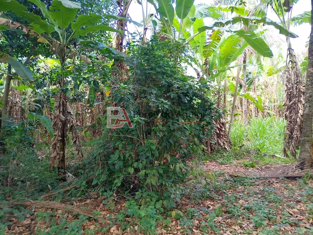 Terreno, 2000 m² - Foto 10