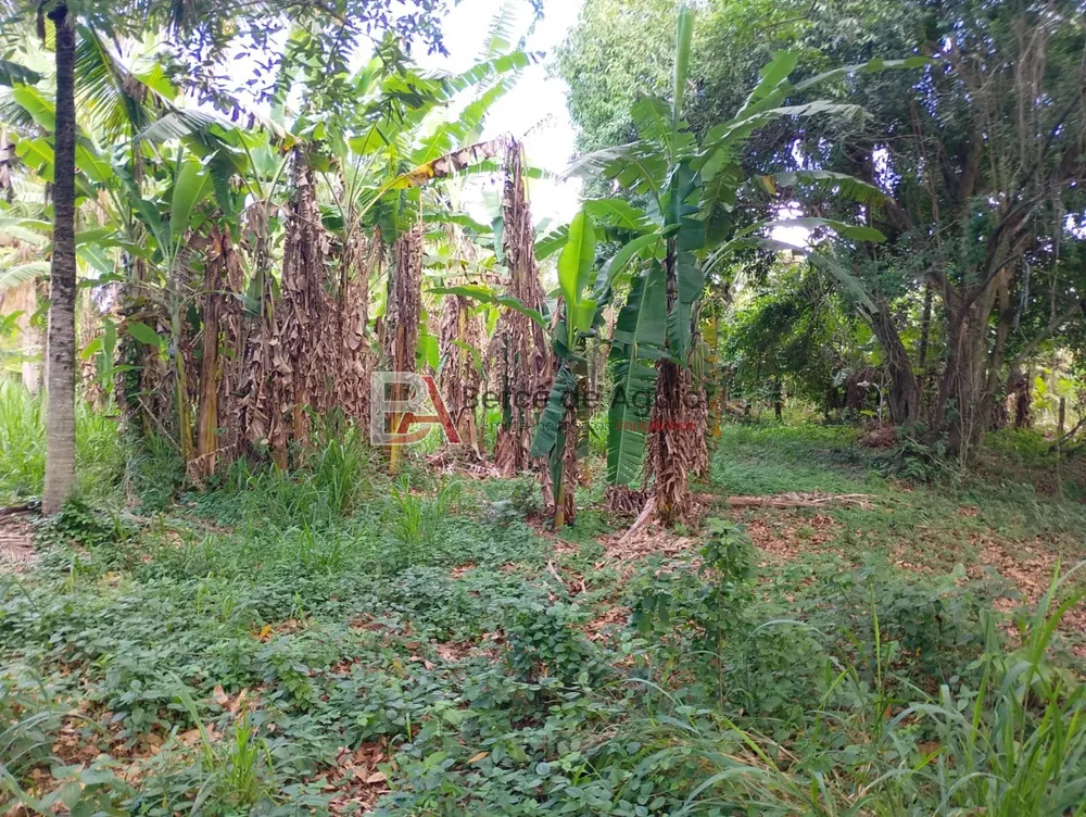 Terreno, 2000 m² - Foto 6