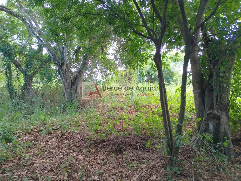 Terreno, 2000 m² - Foto 11