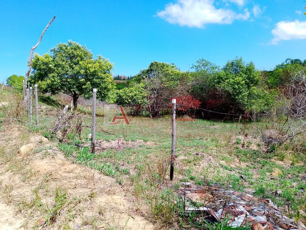 Terreno, 6000 m² - Foto 17