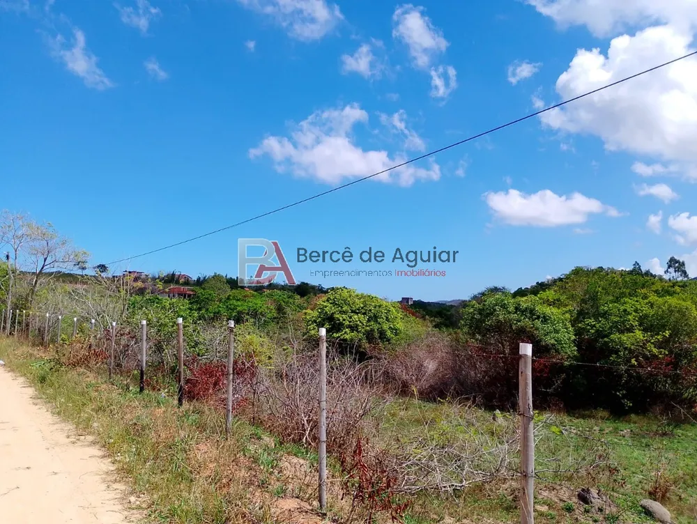 Terreno, 6000 m² - Foto 15