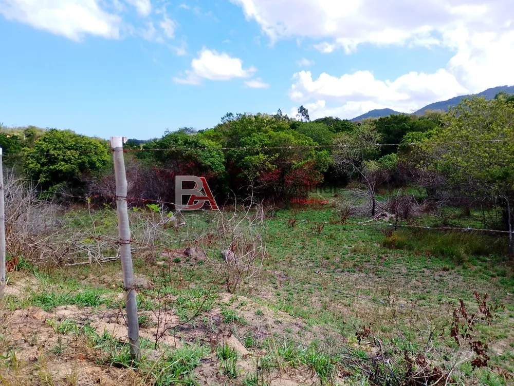 Terreno, 6000 m² - Foto 11
