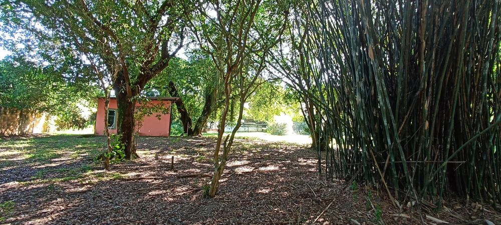 Sítio, 2 quartos - Foto 28