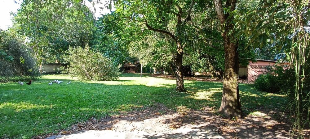 Sítio, 2 quartos - Foto 12