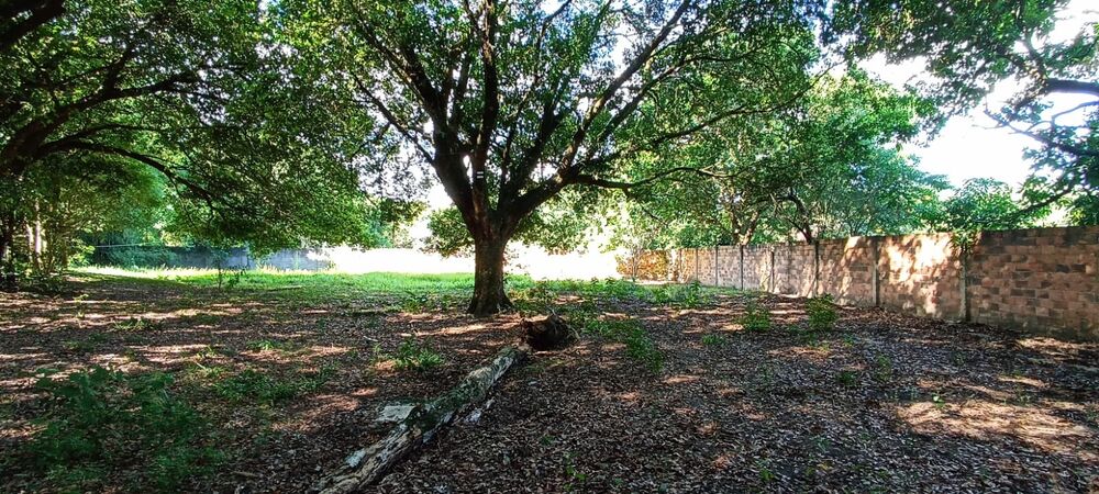 Sítio, 2 quartos - Foto 27