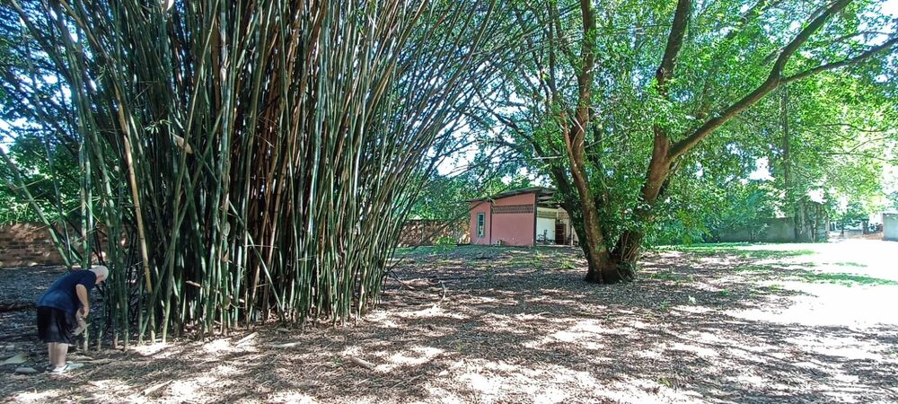 Sítio, 2 quartos - Foto 29