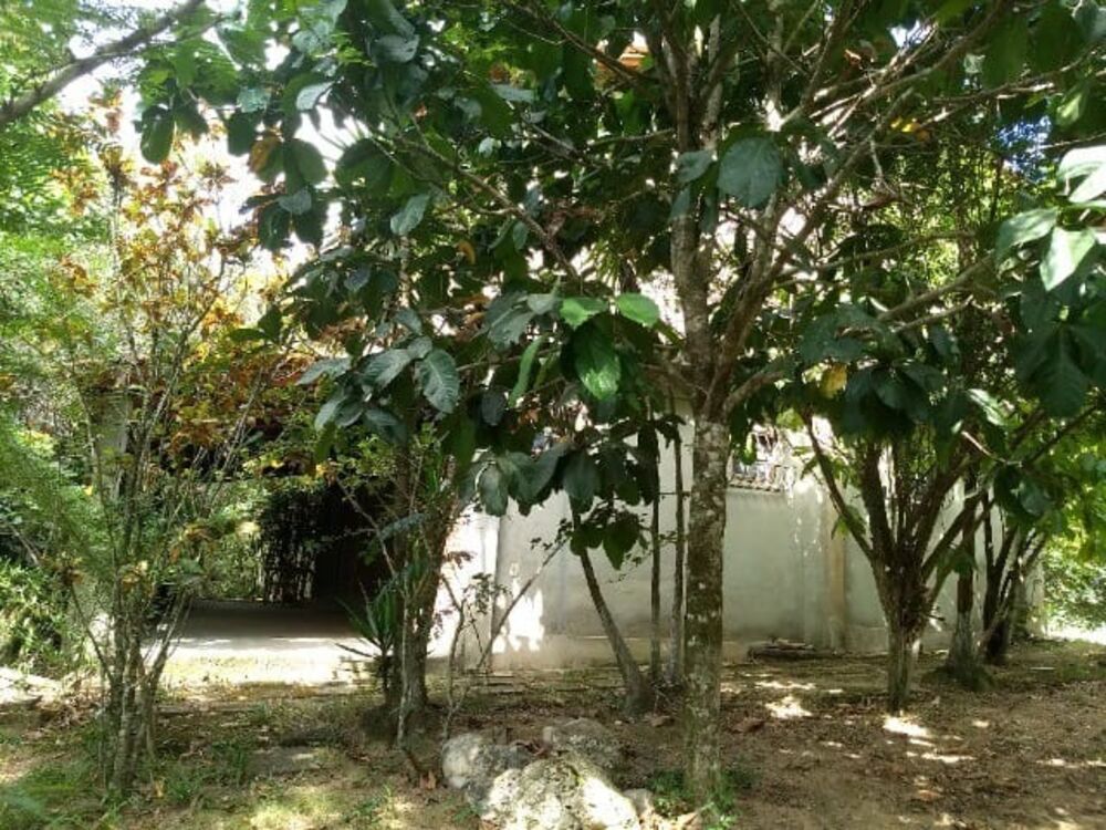 Sítio, 3 quartos - Foto 4