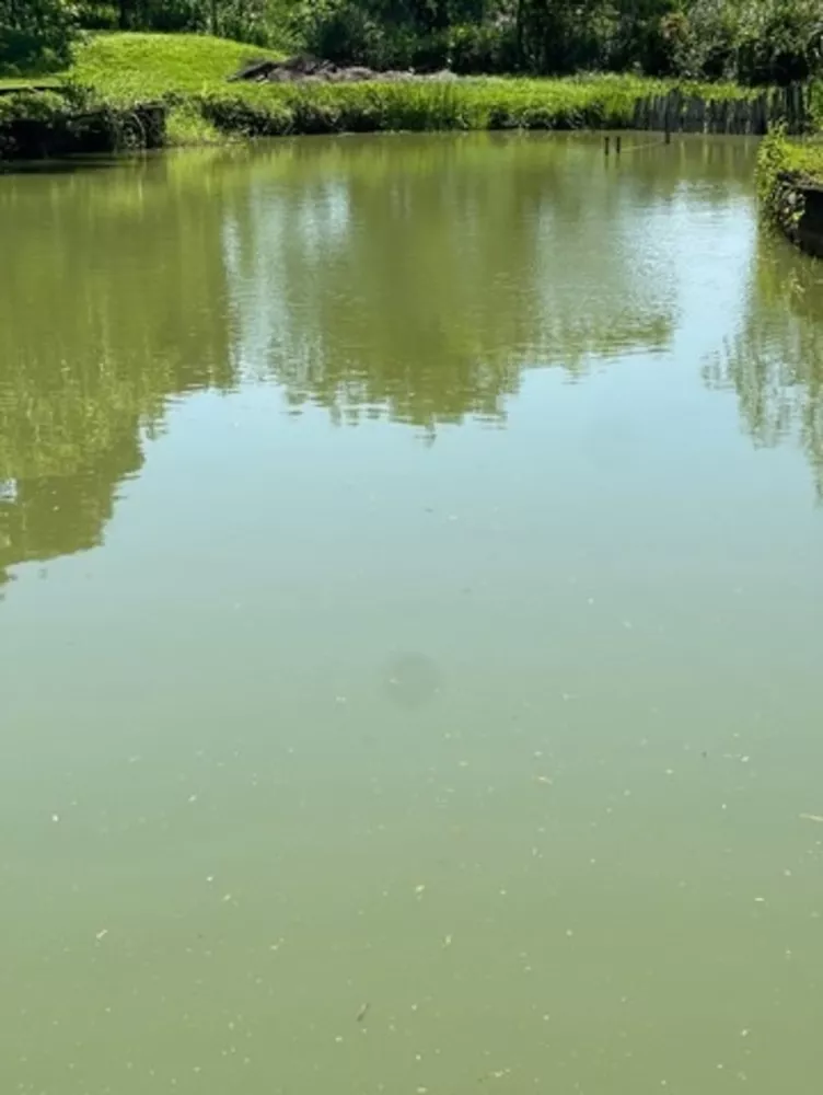 Sítio, 8 quartos - Foto 14