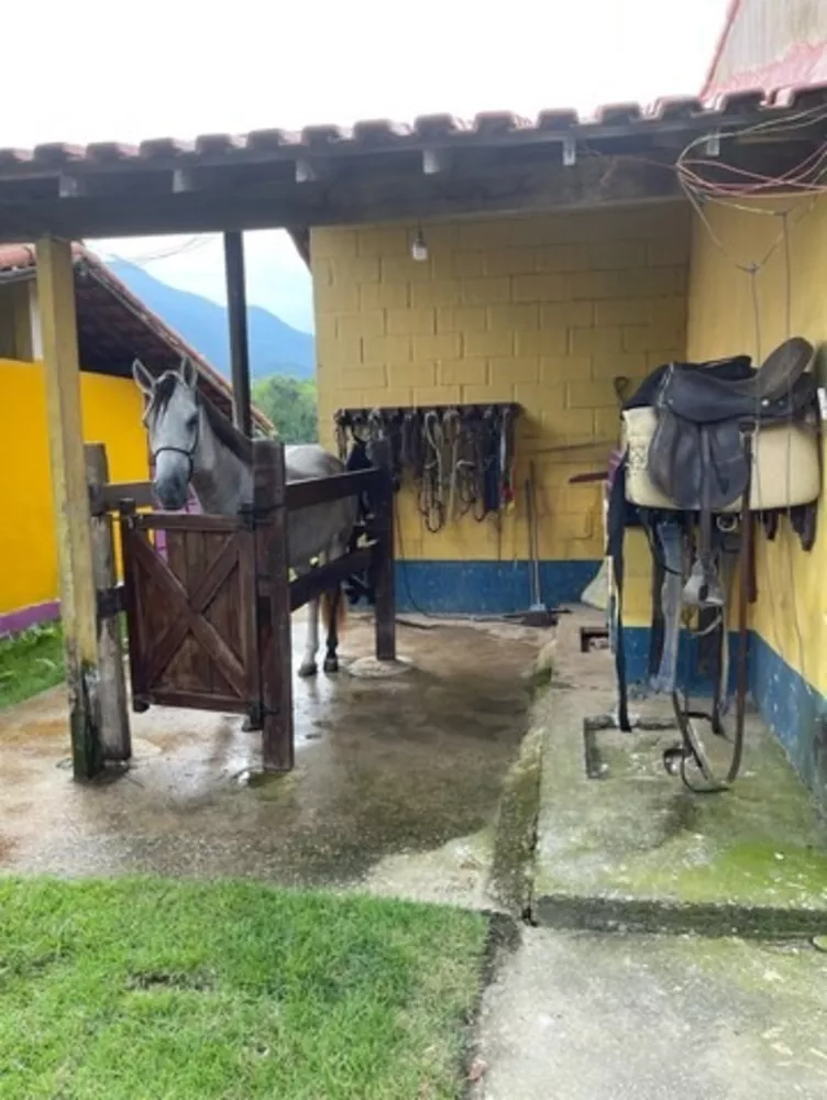 Sítio, 8 quartos - Foto 18