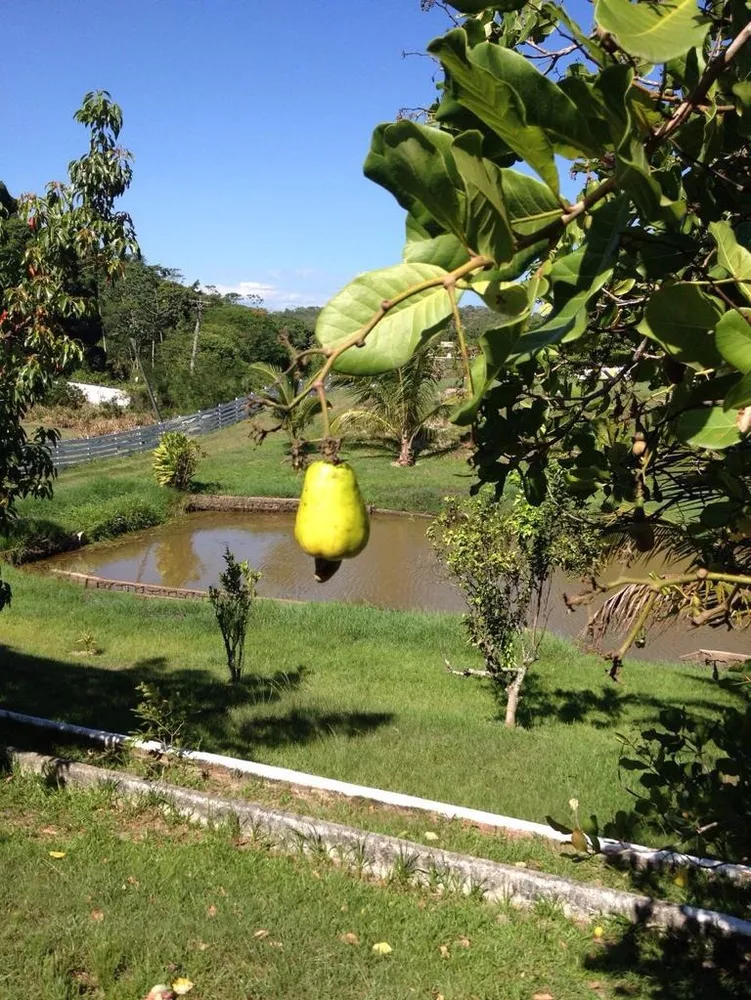 Sítio, 6 quartos - Foto 20