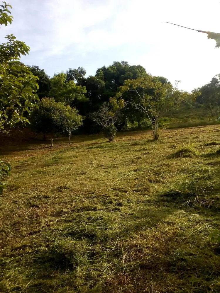 Fazenda - Foto 10