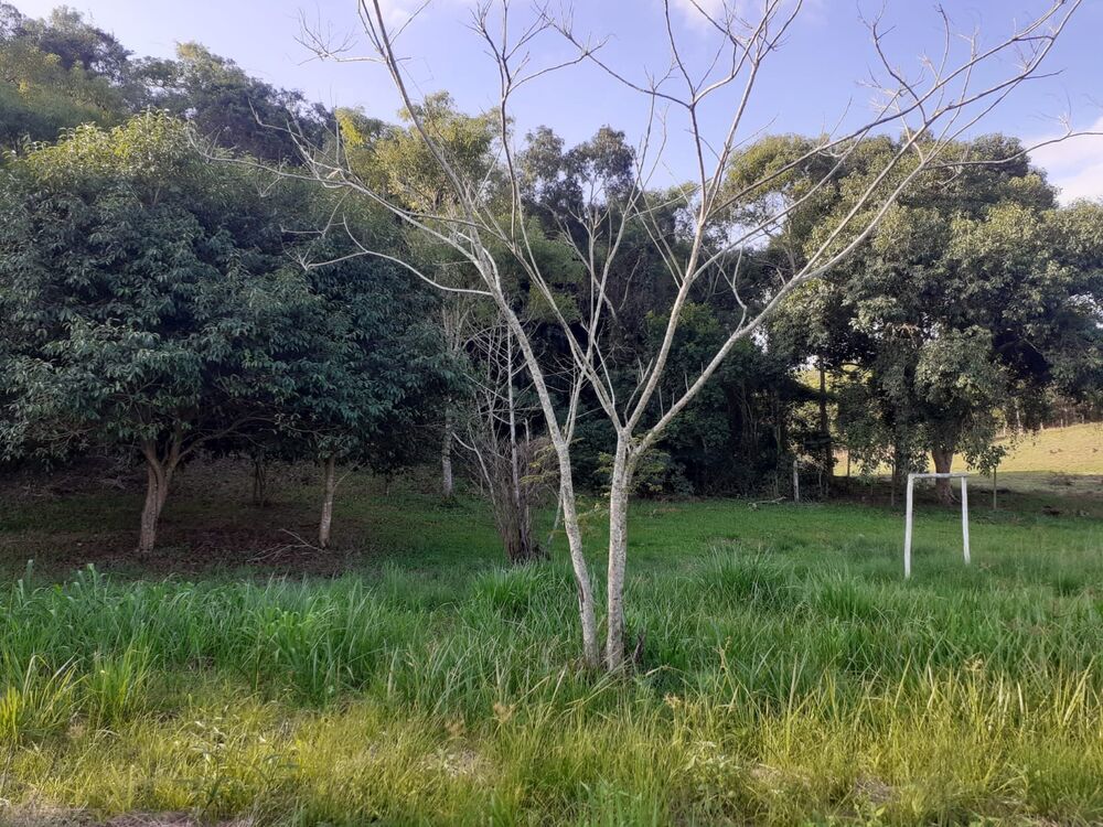 Fazenda-Sítio-Chácara - Foto 4