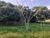 Fazenda - Foto 4
