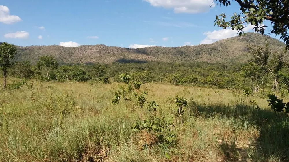 Fazenda, 4 quartos - Foto 10