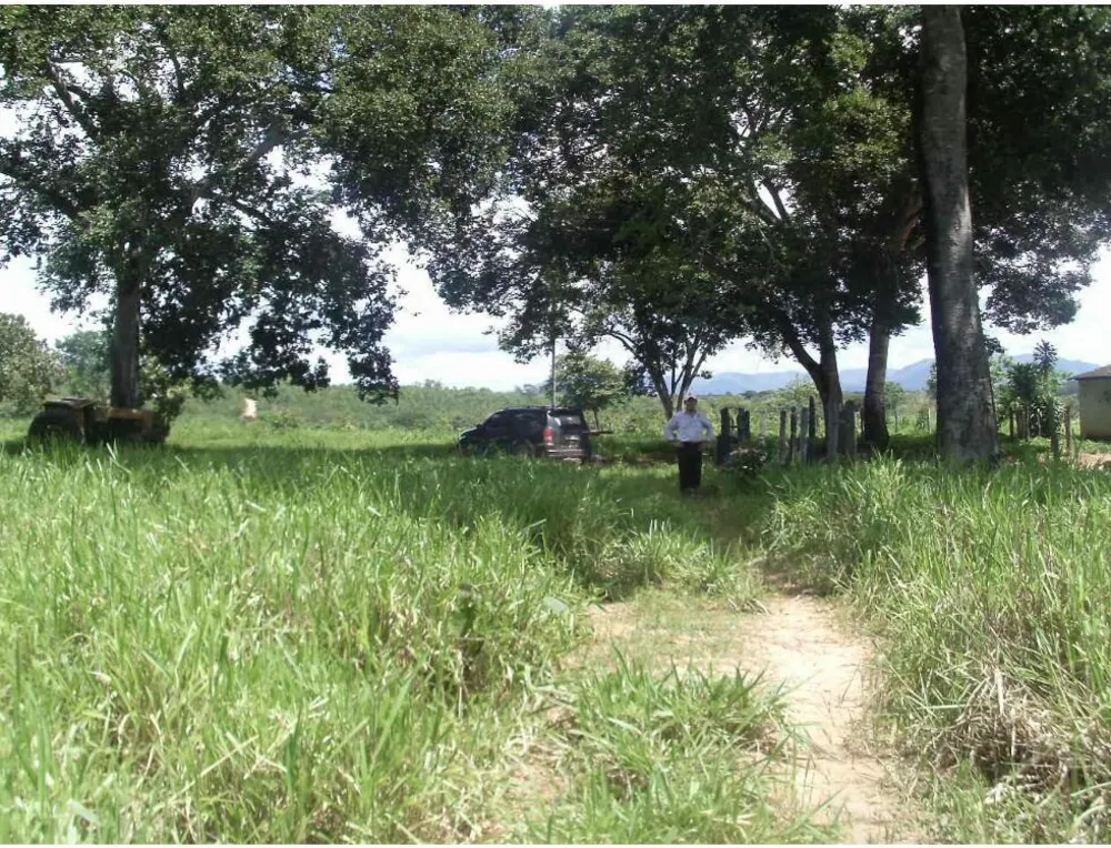 Fazenda, 4 quartos - Foto 8