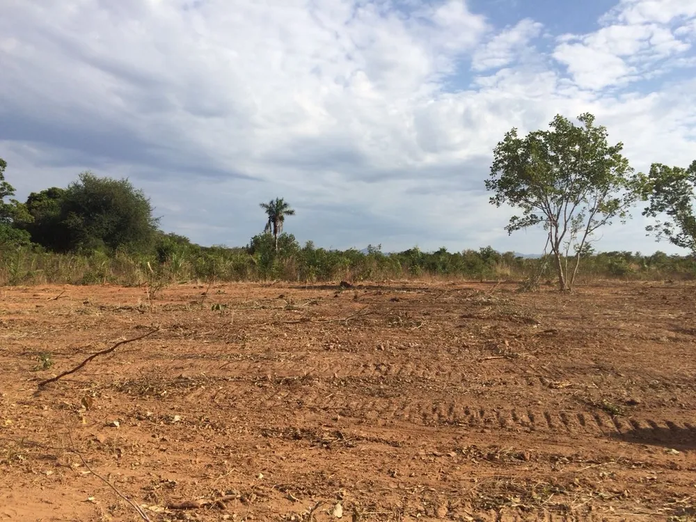 Fazenda, 4 quartos - Foto 2