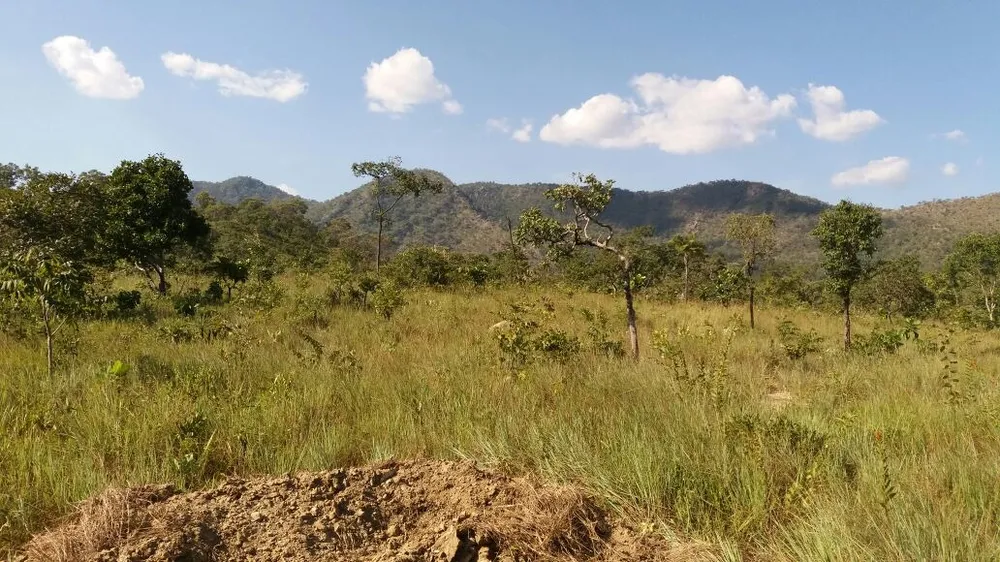 Fazenda, 4 quartos - Foto 6
