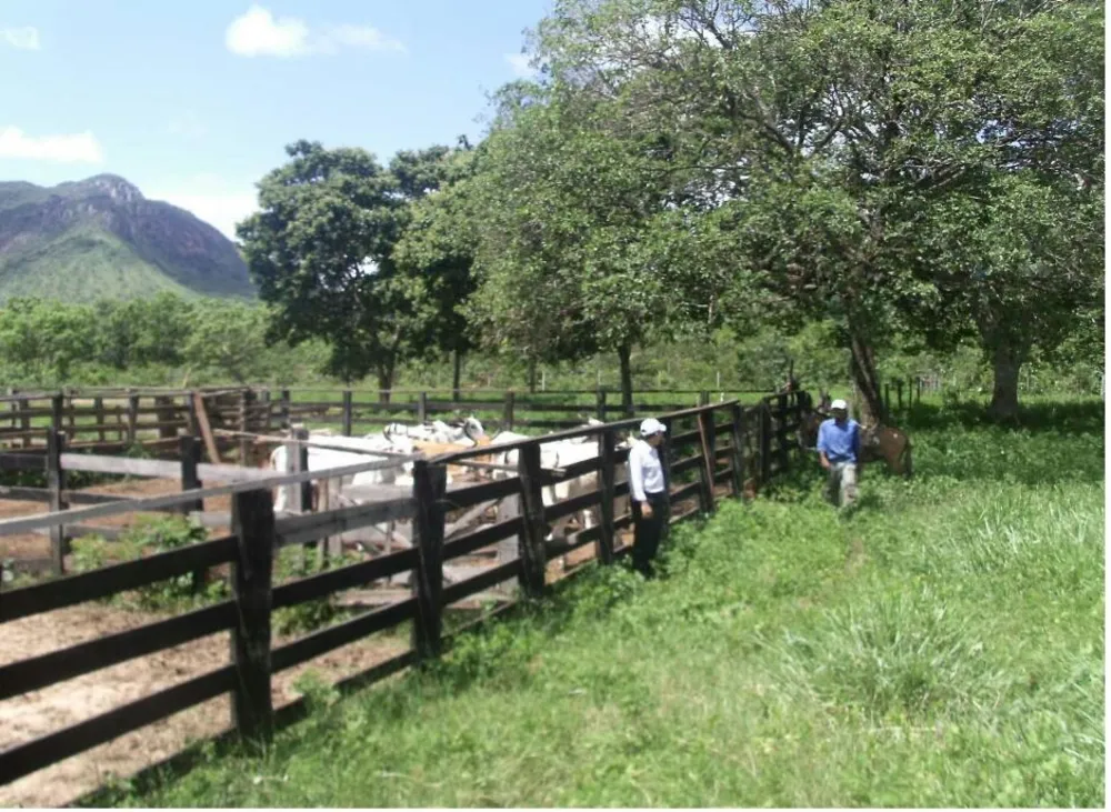 Fazenda, 4 quartos - Foto 1